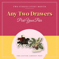 Any Two Drawers: Monthly Subscription