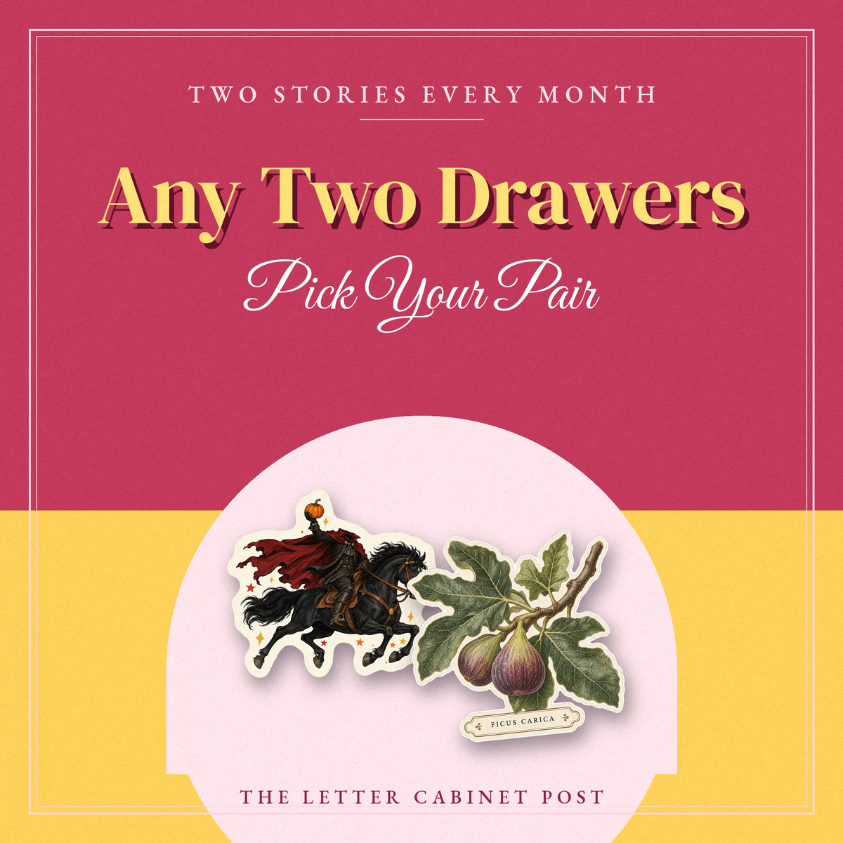 Any Two Drawers: Monthly Subscription