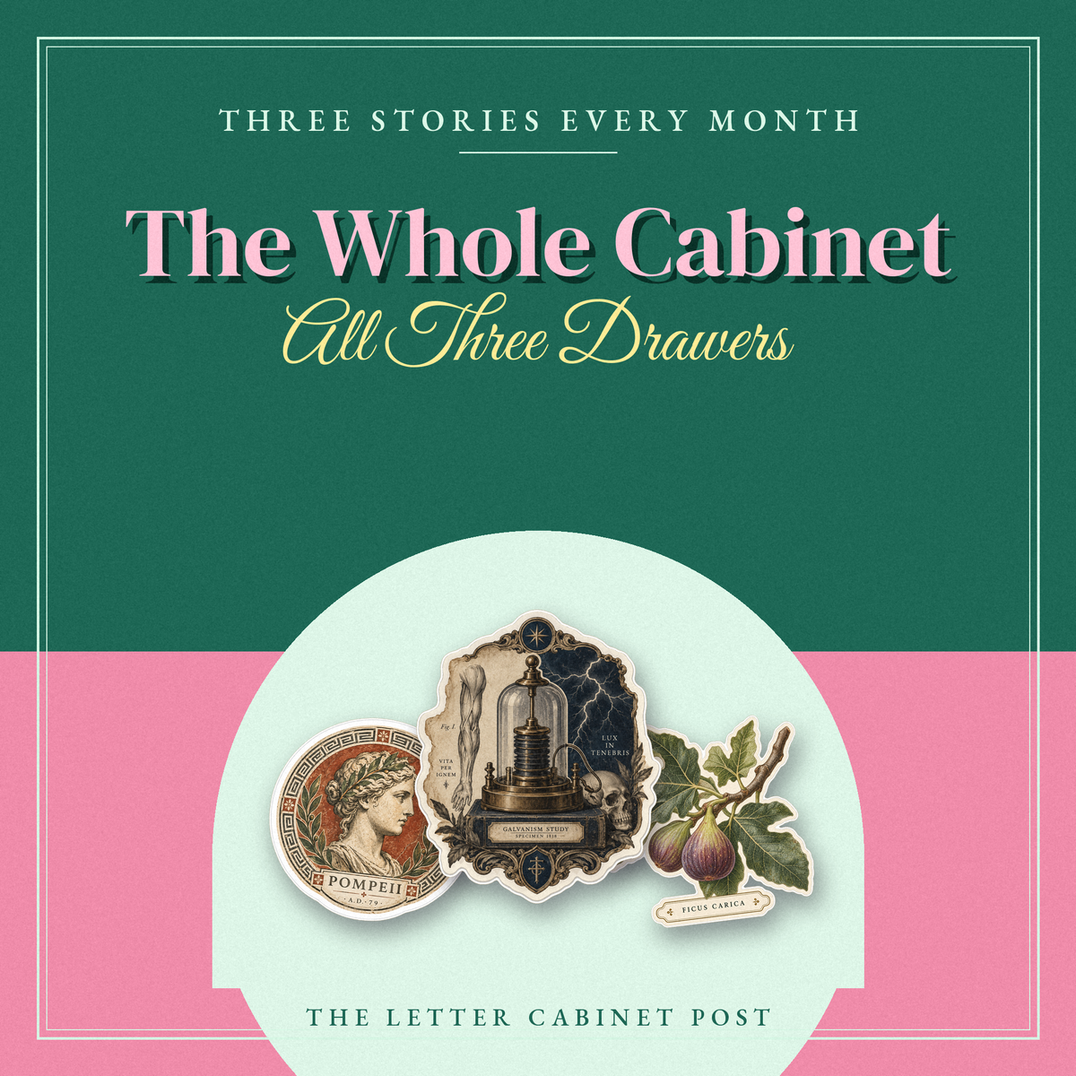 The Whole Cabinet: Monthly Subscription